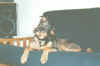 kiwi1-2000-05-12.jpg (22463 bytes)